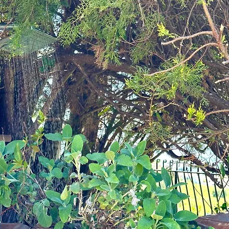 S278 Porzione Di Trilocale Con Giardino Vista Mare